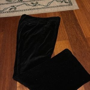 LOFT velour pants - Size 4P